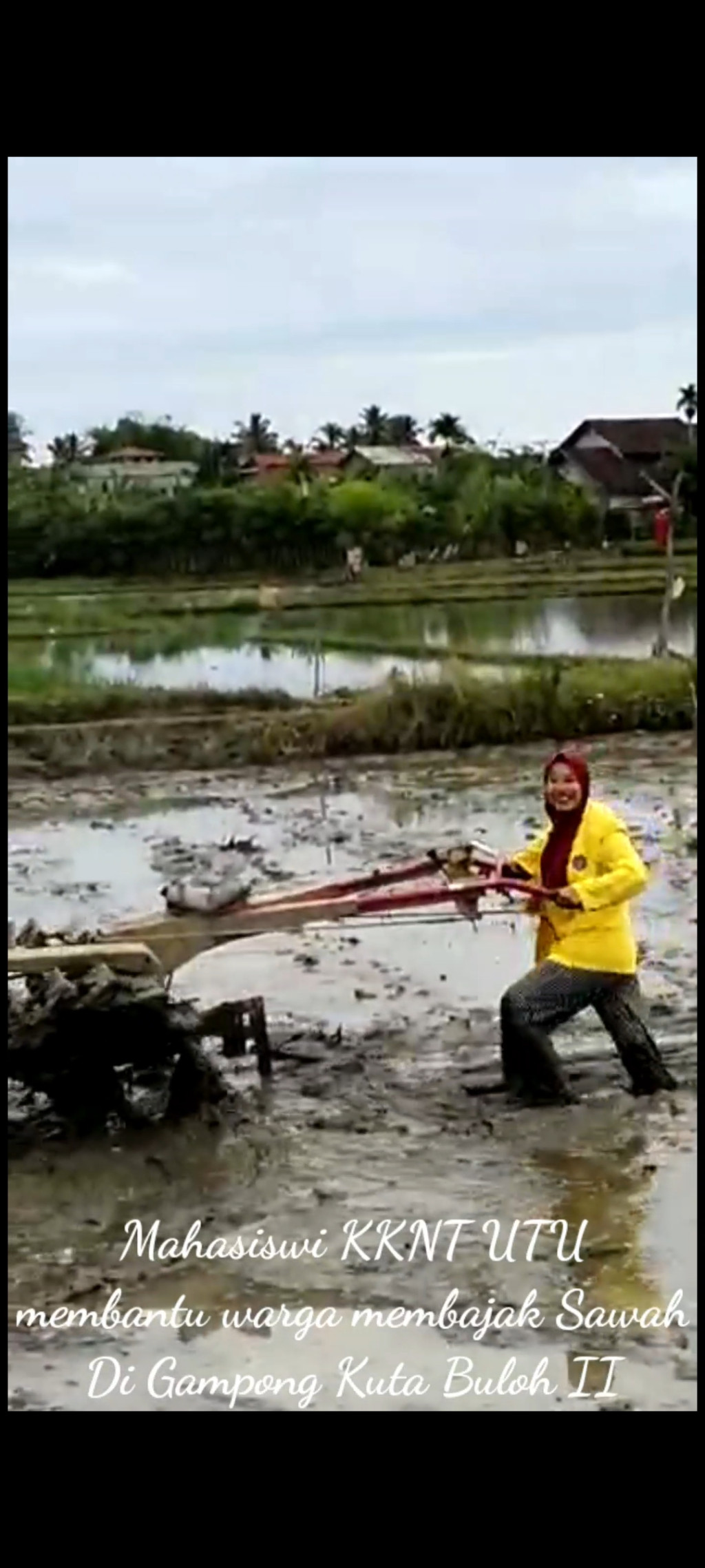 Mahasiswa KKNT UTU Membantu Warga Menggarap Sawah dengan Hand Traktor.